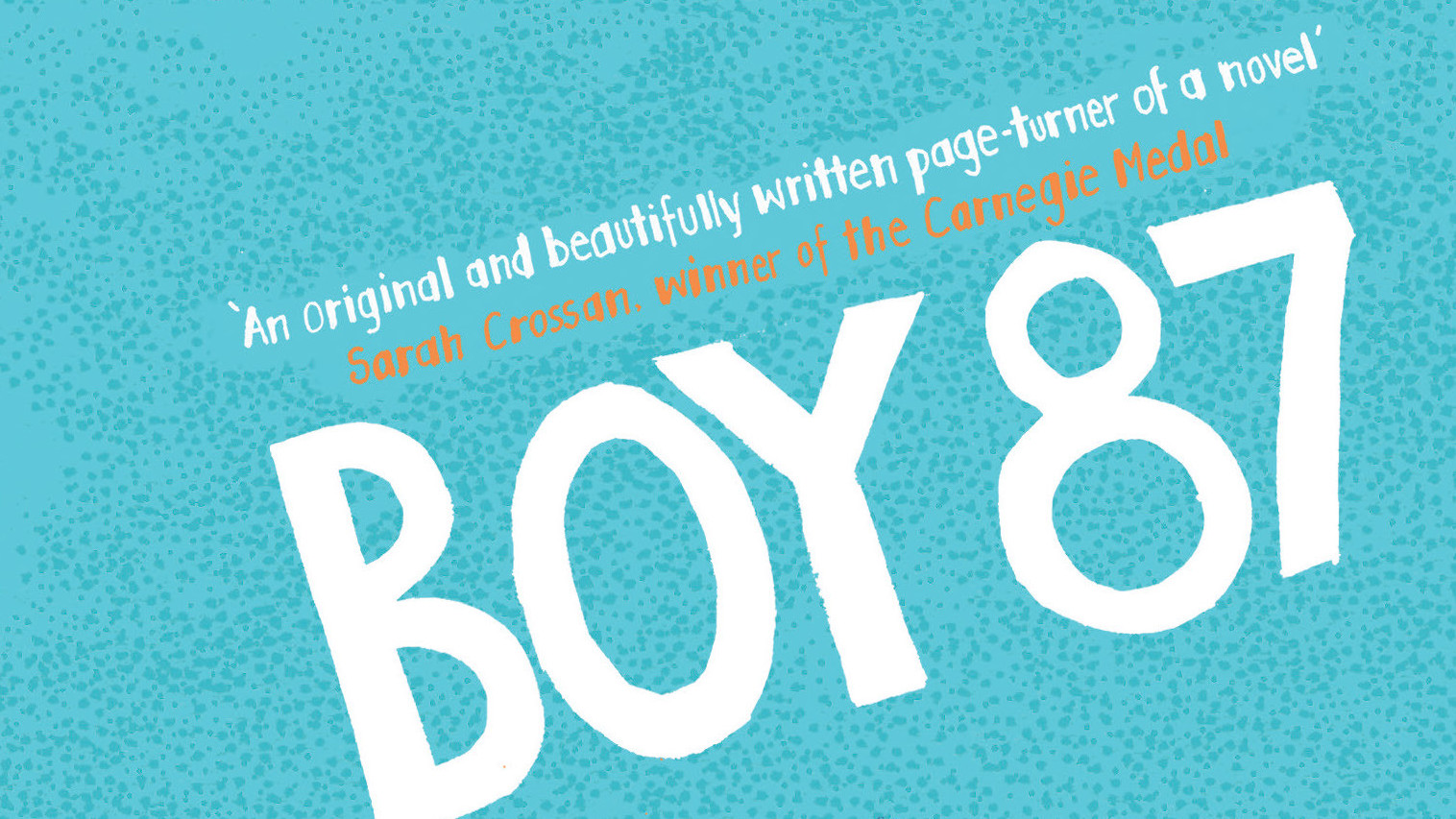 Boy 87 book cover